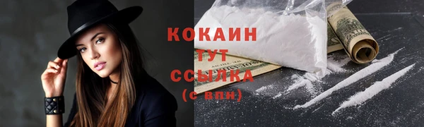 дживик Богданович